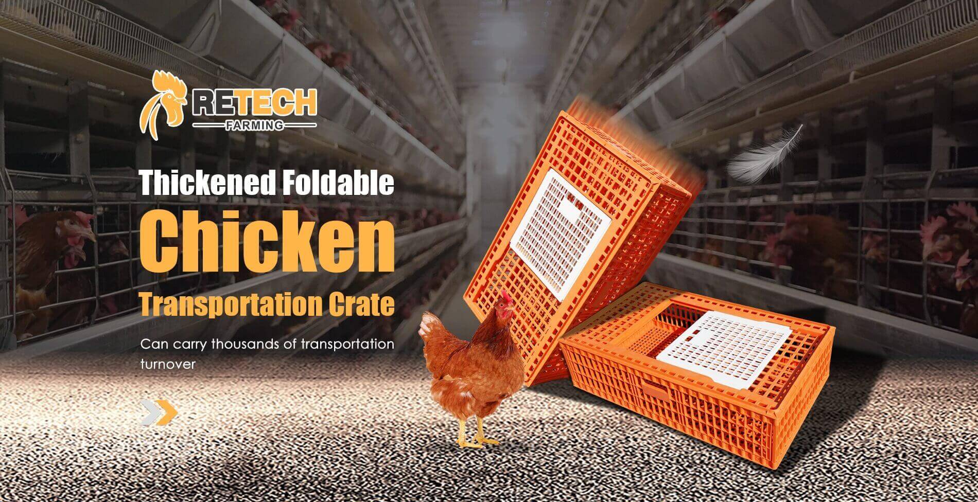 Chicken-Transportation-Crate-banner-1