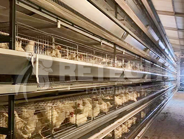 The idea of environmental control of chicken farms and the coordination method of ventilation and heat preservation