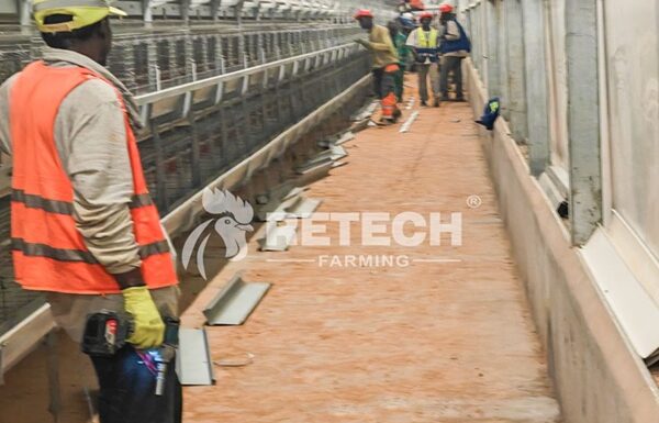 25,000 chicks project in Cameroon