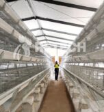 25000-layer-farm-project-in-Côte-d'Ivoire