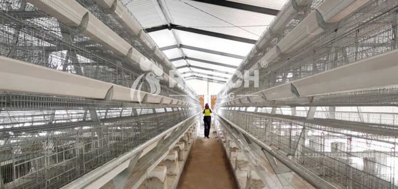 25000-layer-farm-project-in-Côte-d'Ivoire