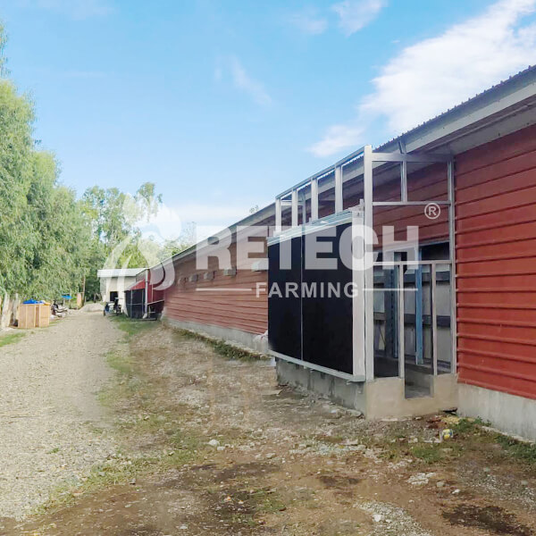 60000-broilers-farm-in-Philippines-head