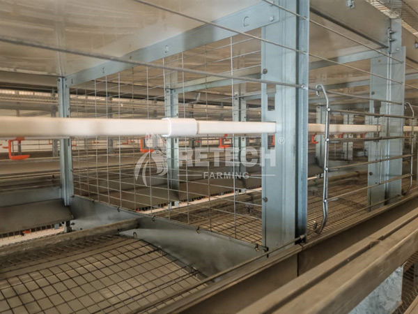 breeder cage