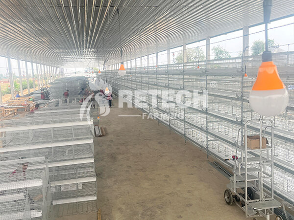 Chicken Cage Installation Services