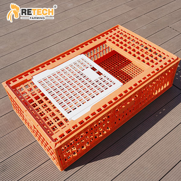 Chicken transport cages