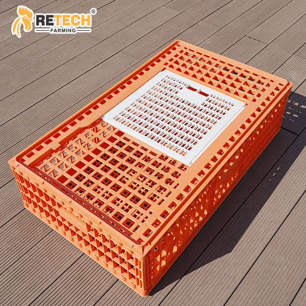 Chicken transport crate