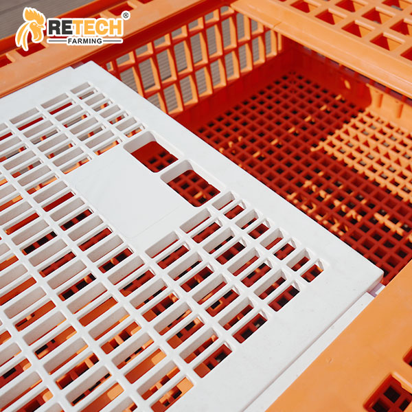 Poultry Transport Cages