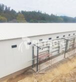 Chile 60,000 Layer Hen Project