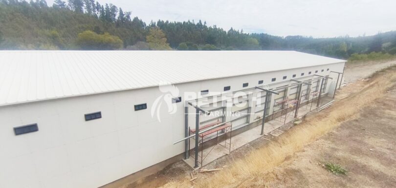 Chile 60,000 Layer Hen Project