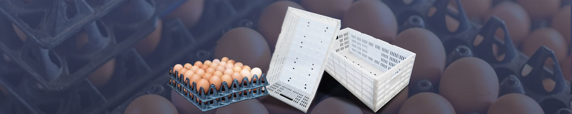 Fold Egg Crate