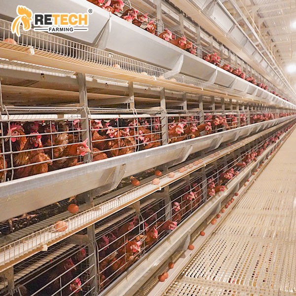 automatic layer cages