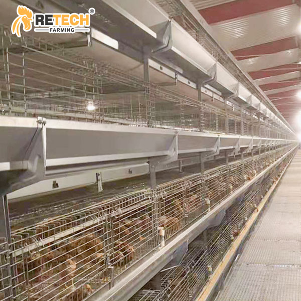 H type pullet cage equipment