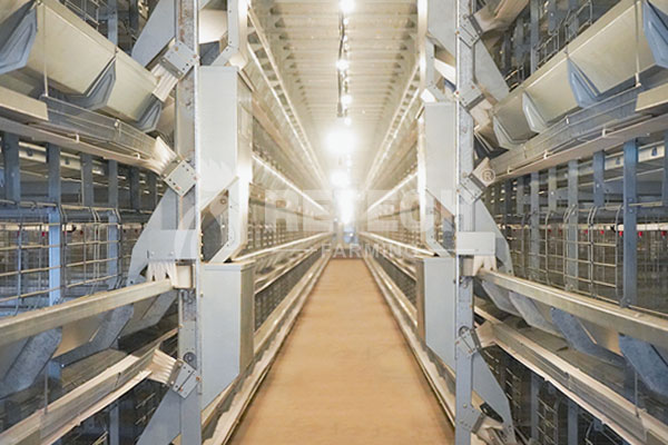 Poultry house lighting