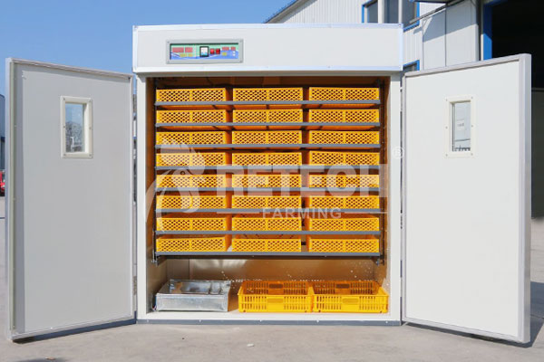 Automatic egg incubator