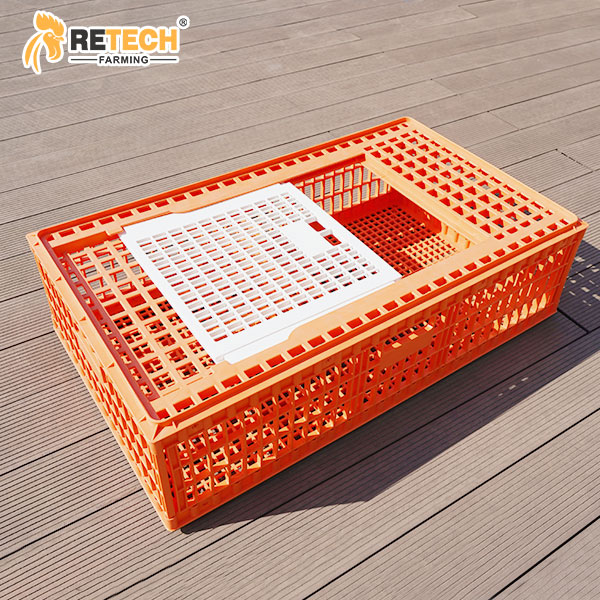 Chicken transport cage