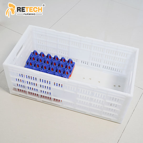 egg crate