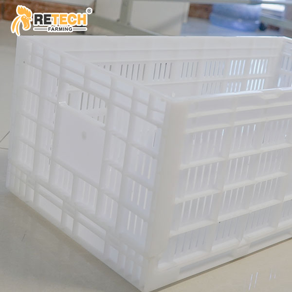 Egg crate transport