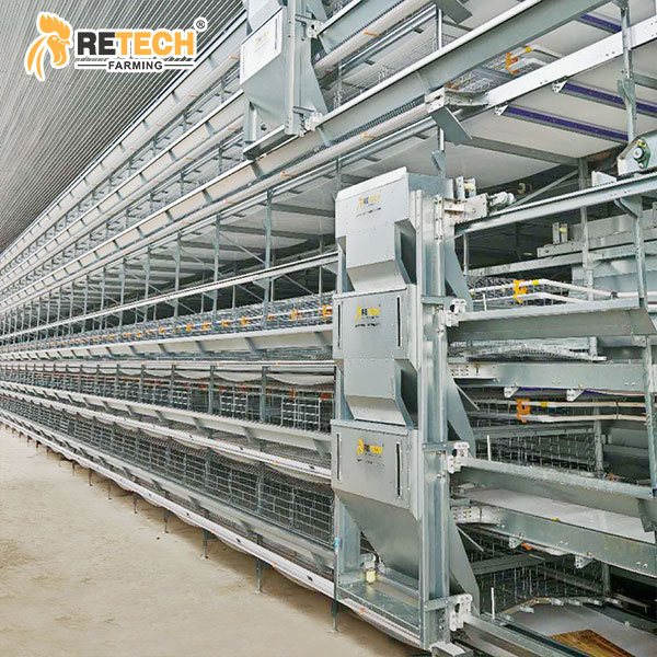 feeding transport system