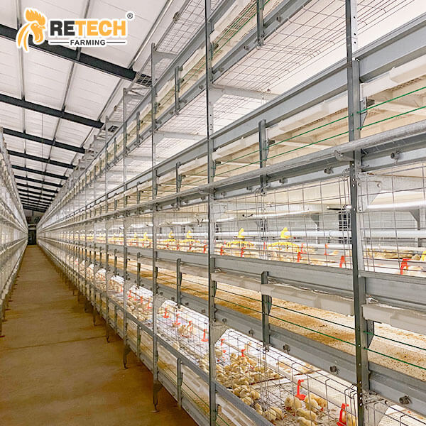 save energy on broiler farm
