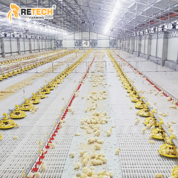 Broiler floor raising system
