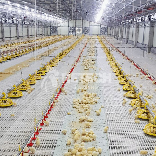 Broiler ground floor raising feeding system