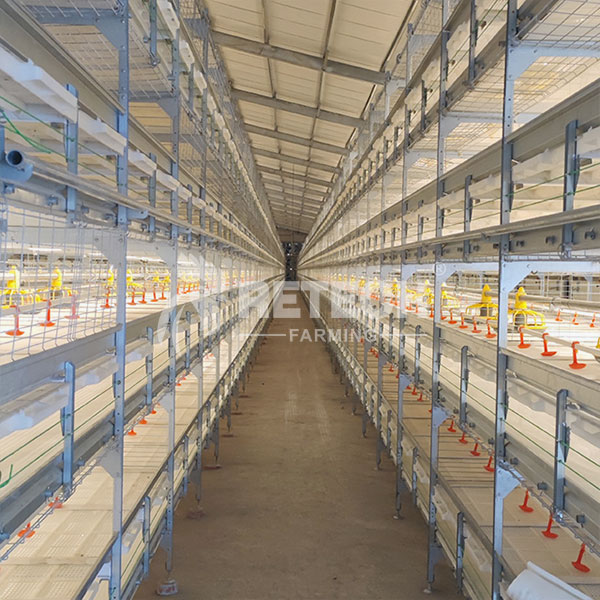 H type broiler cage