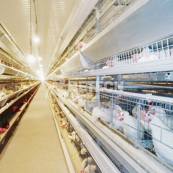 Automatic H type breeder cage