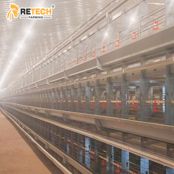 H type breeder cage