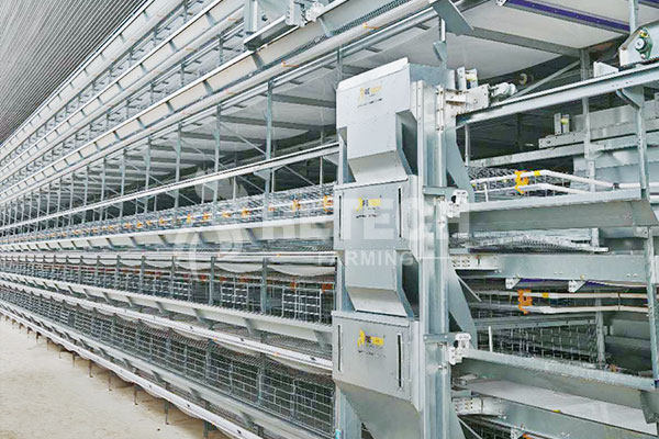 Automatic trolley feeding system