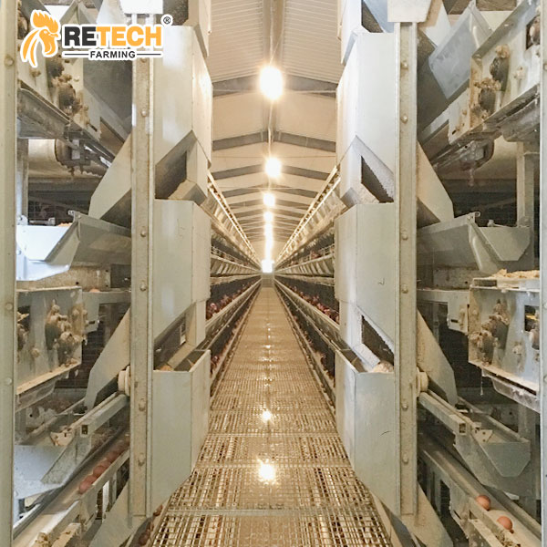 Feed transport system