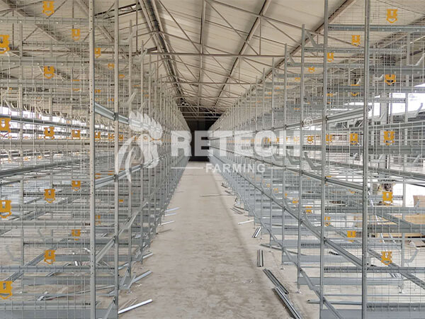 RETECH H type pullet poultry cage