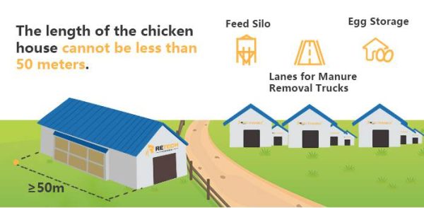 How much does it cost to start a 10,000 birds layer chicken poultry ...