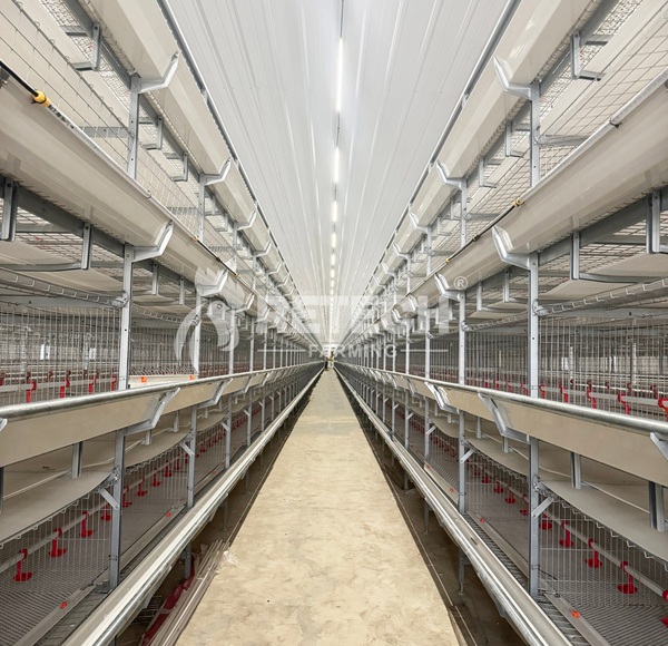 Indonesia 54,000 broiler chicken project-2