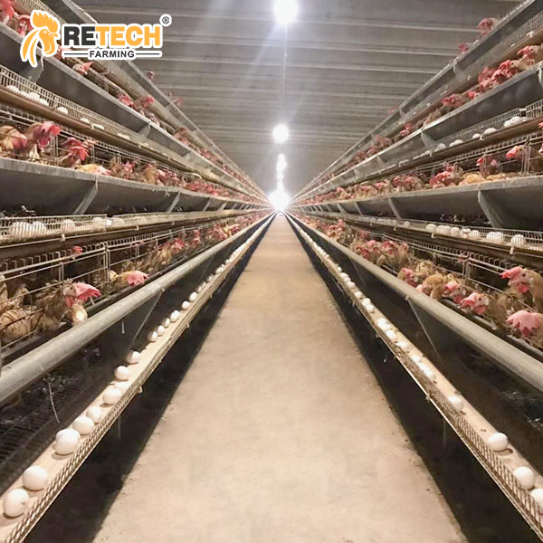 A type automatic layer cage