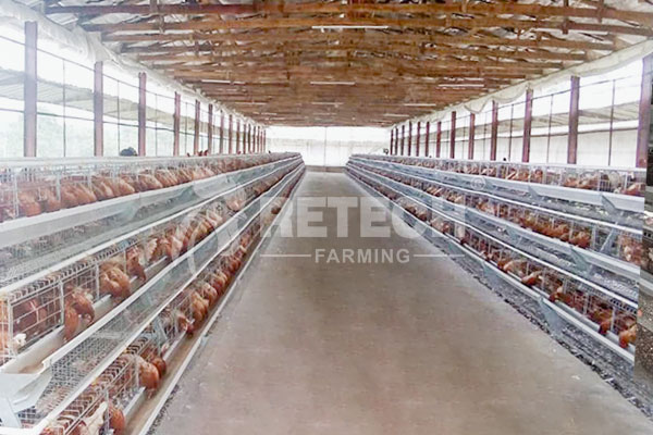 A type manual layer cage