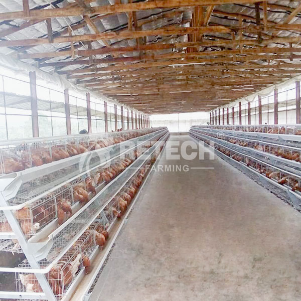 Manual A Type Layer Cage