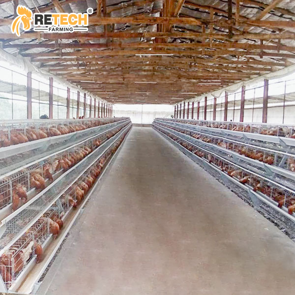 A type manual layer cage