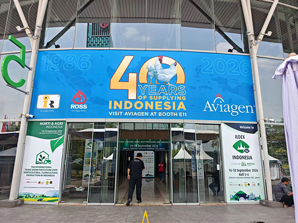 Livestock Farming Indonesia