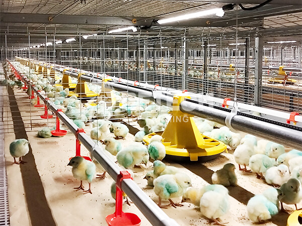 automatic feeding system