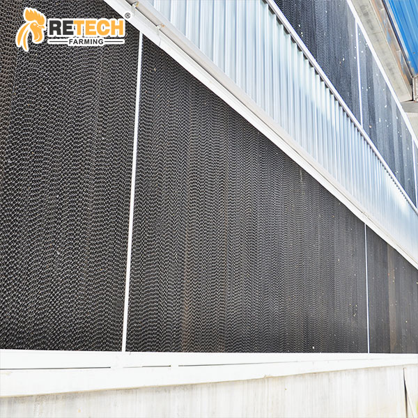 Broiler house pad cooling system