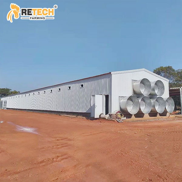 Poultry house building