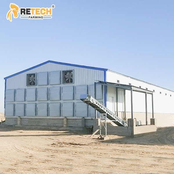 Closed chicken house design