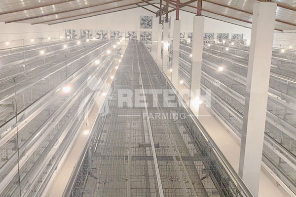 laying hens lighting system