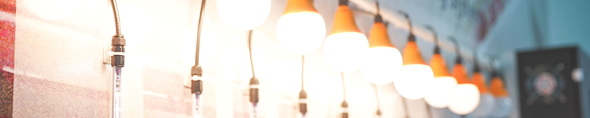 Poultry house lighting system