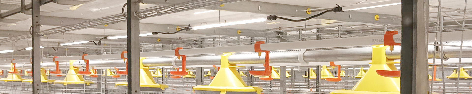 Poultry House Lighting
