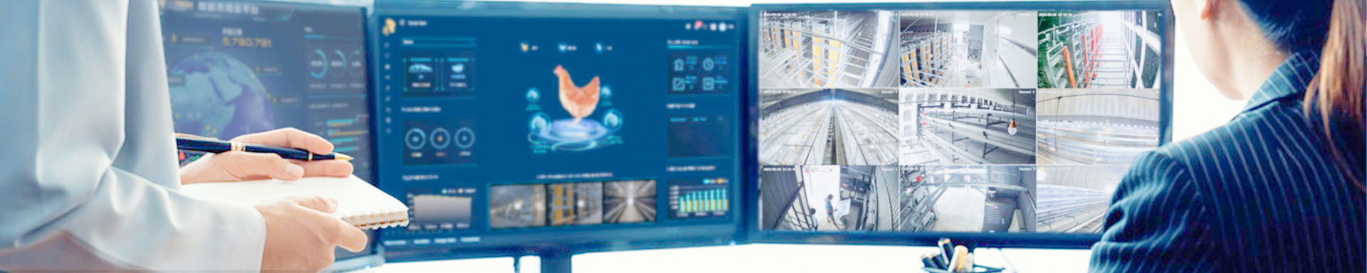 Modern chicken house management