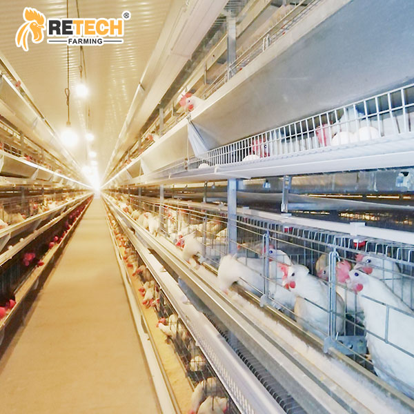 Broiler breeder cage equipment
