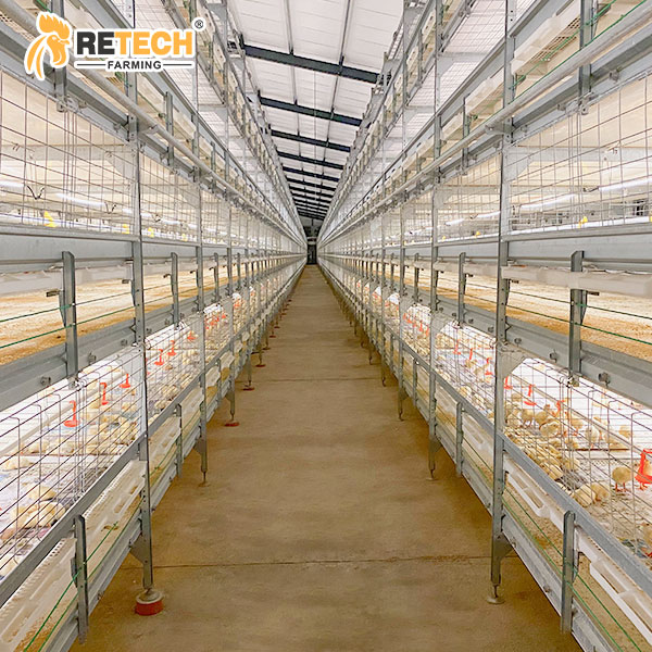 broiler cage