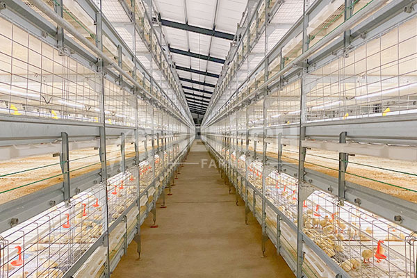 broiler cage