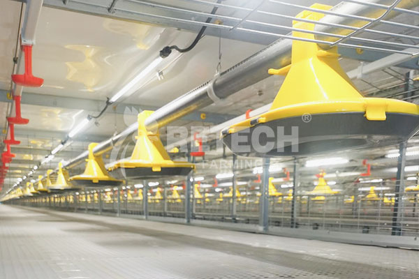 Broiler house lighting